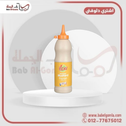 صورة ايلو مسترده