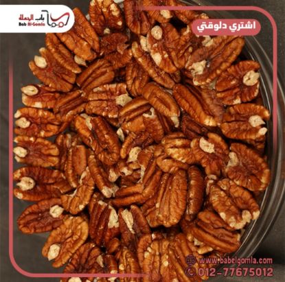 صورة بيكان كيلو 