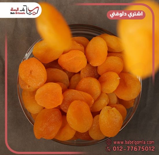 صورة مشمشيه مقاس 0 سوري 5ك